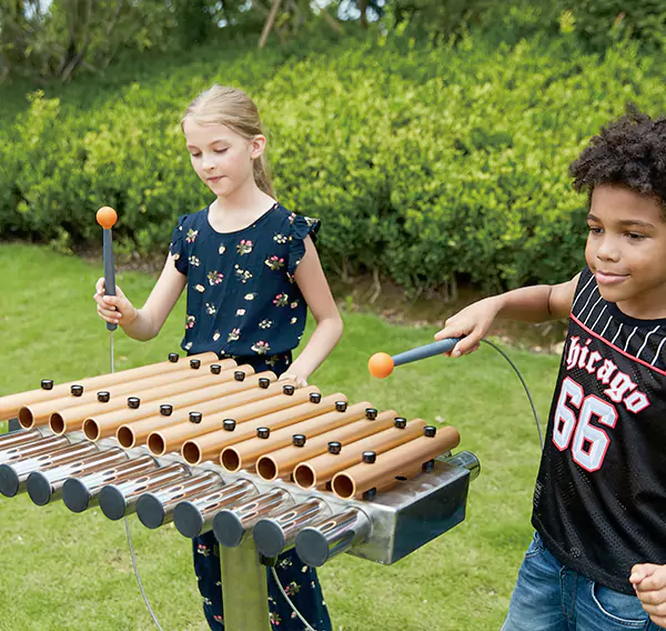 Προσαρμοσμένο θέμα